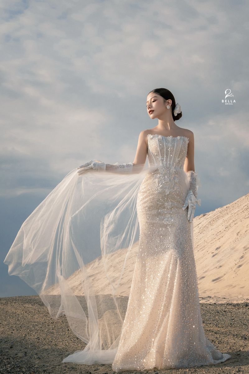 Váy Cưới Áo cưới thiết kế thời trang váy cưới Công Chuyển Bridal